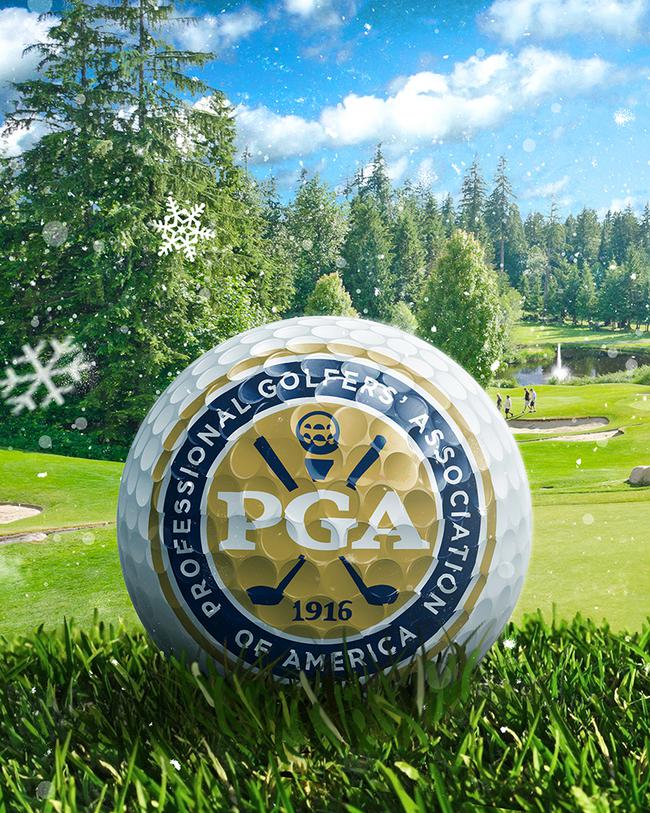 Closeup of PGA logo imposed on the surface of the golf ball